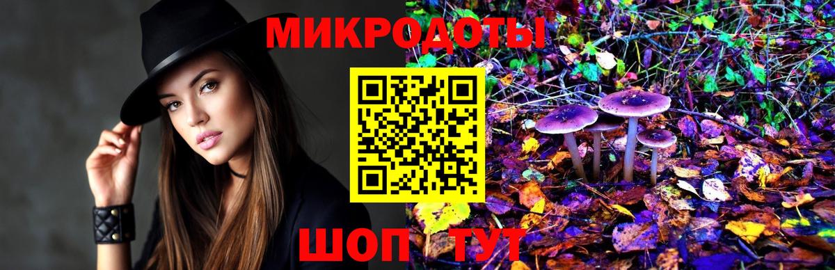 Нижний Тагил  Псилоцибиновые грибы мухоморы  Псилоцибиновые грибы Psilocybe  Вход с VPN 